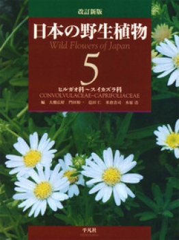 改訂新版 日本の野生植物 5+総索引 ヒルガオ科〜スイカズラ科