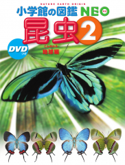 昆虫2 DVDつき 地球編
