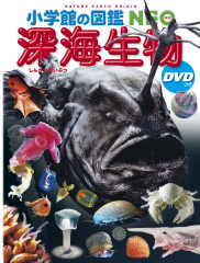 深海生物 DVDつき