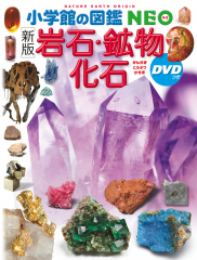 [新版] 岩石・鉱物・化石 DVDつき