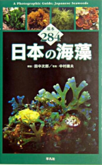 日本の海藻 基本284