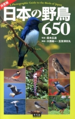 決定版 日本の野鳥 650