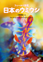 フィールド図鑑 日本のウミウシ