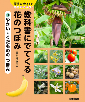 教科書にでてくる 花のつぼみ 3 やさい・くだものの つぼみ