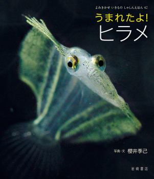 うまれたよ! ヒラメ (よみきかせ いきものしゃしんえほん 42) ：櫻井 季己