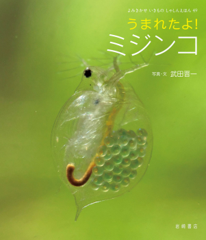 うまれたよ! ミジンコ