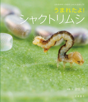 うまれたよ! シャクトリムシ