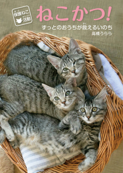 保護ねこ活動 ねこかつ!ずっとのおうちが救えるいのち