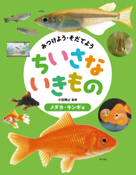 メダカ・キンギョ