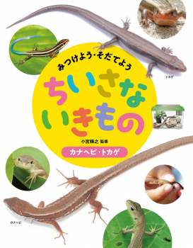 カナヘビ・トカゲ