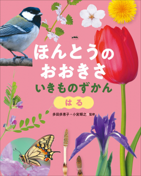 ほんとうの おおきさ いきものずかん はる
