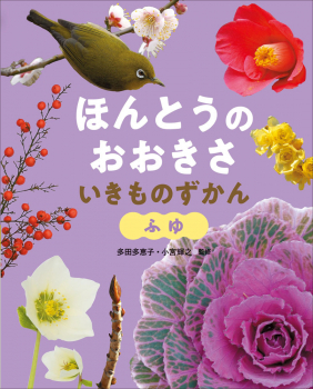 ほんとうの おおきさ いきものずかん ふゆ