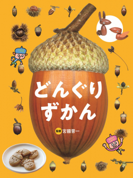 どんぐり ずかん