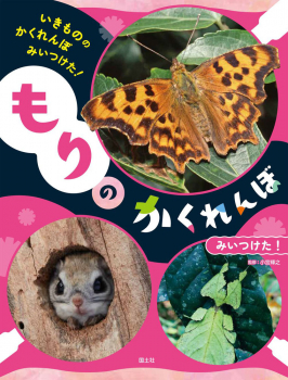 もりの かくれんぼ みいつけた!