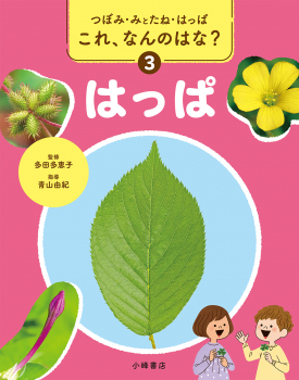 つぼみ・みとたね・はっぱ これ、なんのはな? 3 はっぱ