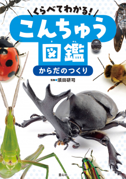 くらべてわかる!こんちゅう図鑑 からだのつくり