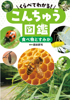 くらべてわかる!こんちゅう図鑑 食べ物とすみか