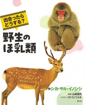 出合ったらどうする? 野生のほ乳類 (2)シカ・サル・イノシシ
