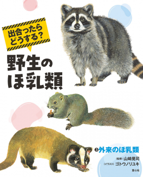 出合ったらどうする? 野生のほ乳類 (3)外来のほ乳類