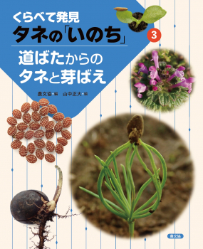 くらべて発見 タネの「いのち」 (3) 道ばたからのタネと芽ばえ