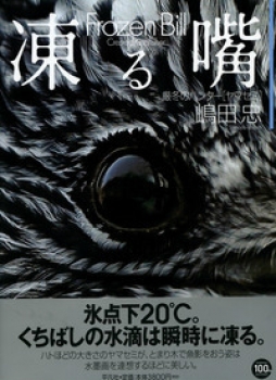 凍る嘴