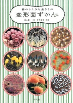 森のふしぎな生きもの 変形菌ずかん