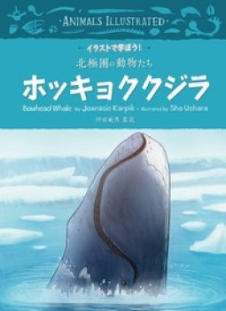 イラストで学ぼう! 北極圏の動物たち ホッキョククジラ