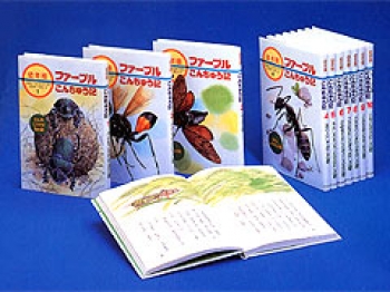 幼年版 ファーブルこんちゅう記 小林清之介 たかはしきよし 日教販 児童書ドットコム