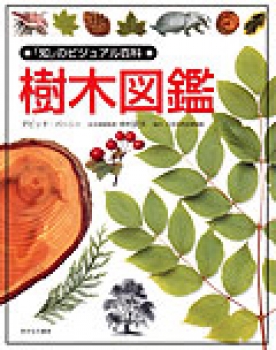 樹木図鑑 (「知」のビジュアル百科 3) ：デビット・バーニー／中村武久