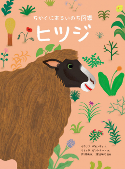 ちかくにあるいのち図鑑 ヒツジ