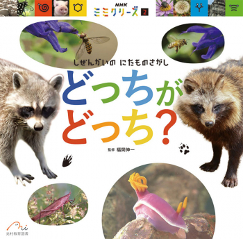 どっちが どっち?