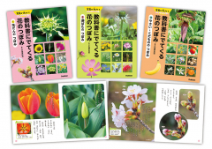 教科書にでてくる 花のつぼみ