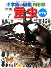[新版] 昆虫 DVDつき