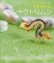 うまれたよ! シャクトリムシ