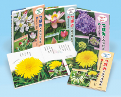 いちねんせいからよめる! つぼみをみつけたよ