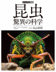 ビジュアル図鑑 昆虫 驚異の科学