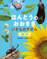 ほんとうの おおきさ いきものずかん なつ