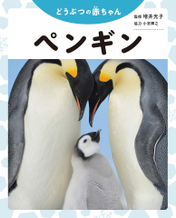 どうぶつの赤ちゃん ペンギン