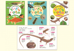 みつけよう・そだてよう ちいさないきもの