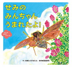 せみの みんちゃん うまれたよ!