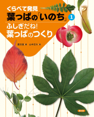 ふしぎだね! 葉っぱのつくり