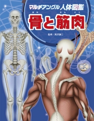 マルチアングル人体図鑑 骨と筋肉