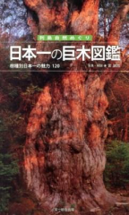 日本一の巨木図鑑 樹種別日本一の魅力120