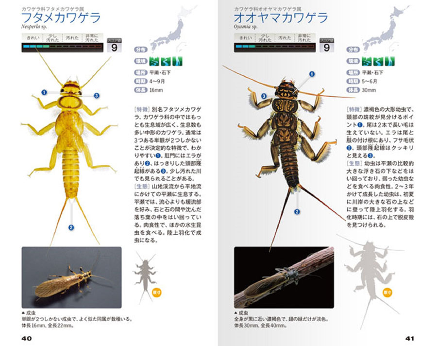 水生生物 ハンドブック 新訂 ：刈田敏三 - 日教販 児童書ドットコム